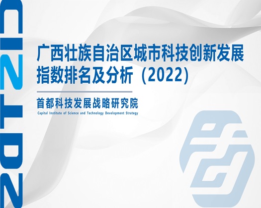 美女艹b【成果发布】广西壮族自治区城市科技创新发展指数排名及分析（2022）